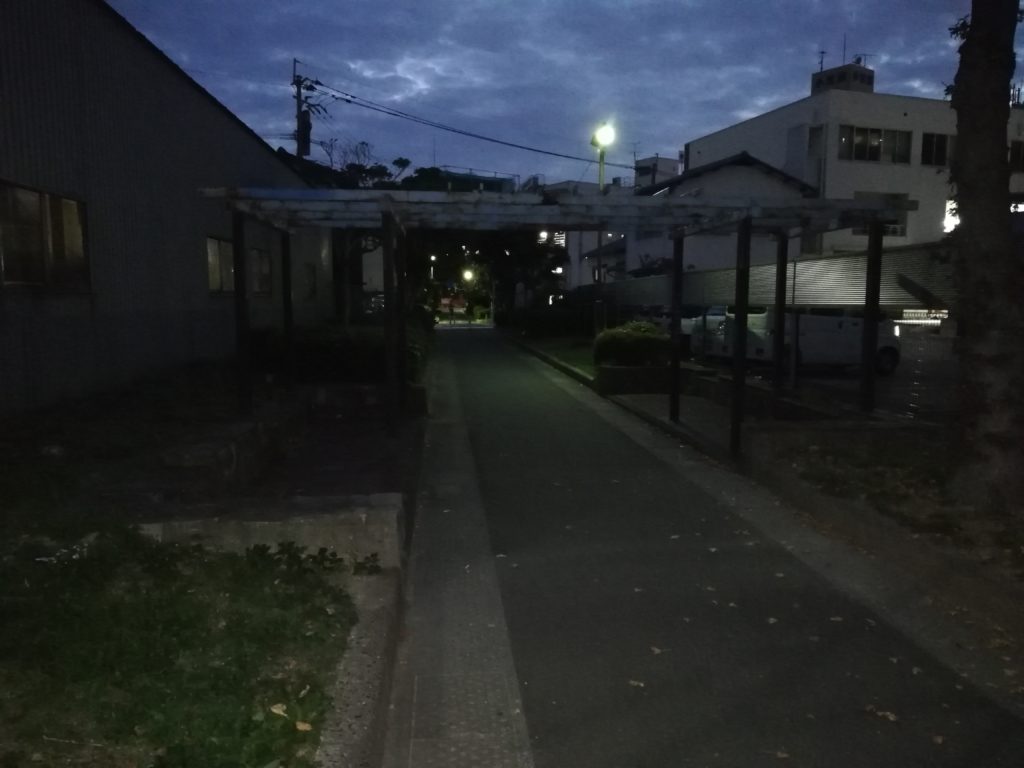 薄暗い散歩道