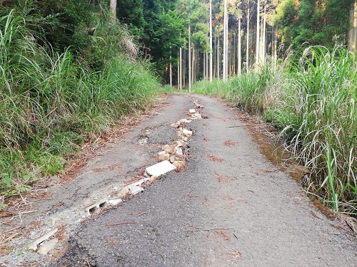 亀裂の入ったアスファルトの道路にブロックや石が埋め込まれている。