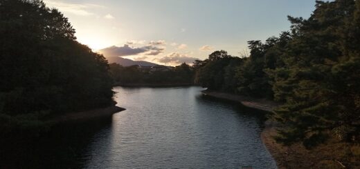 大牟田池自然公園
